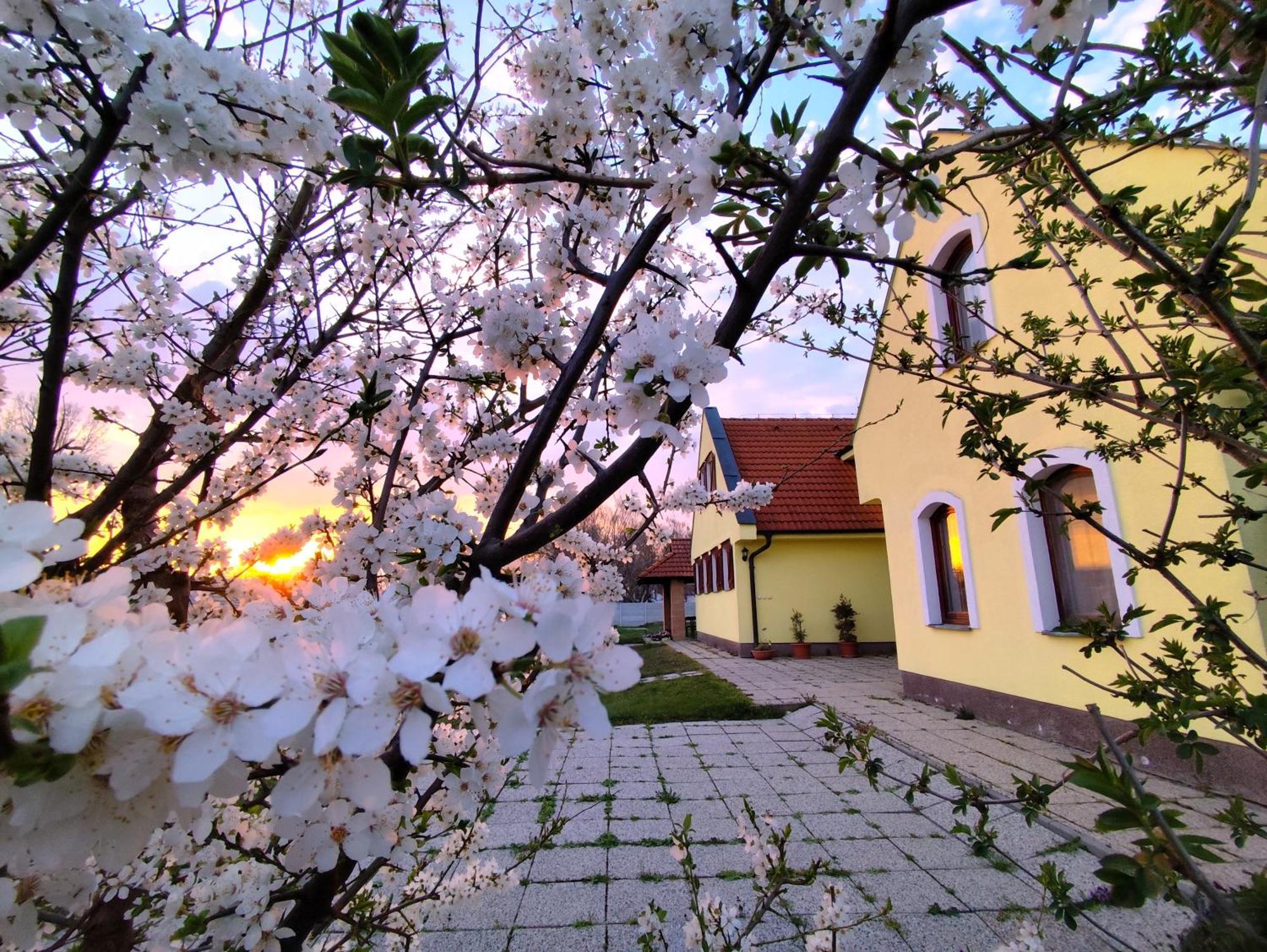 Idylicky Rodinny Penzion Arkadia Pri Dunajskej Cyklotrase Kyselica Exterior foto
